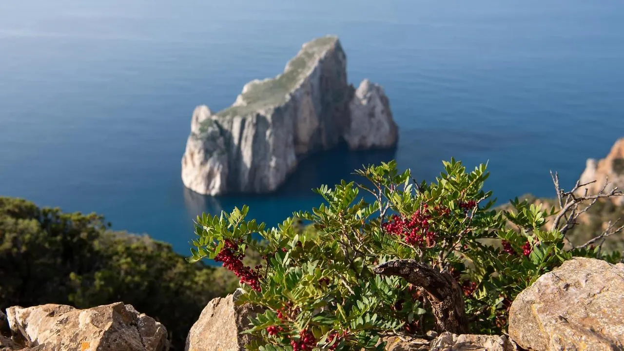 Welcomely - Cafe Del Mar Apartment Gonnesa